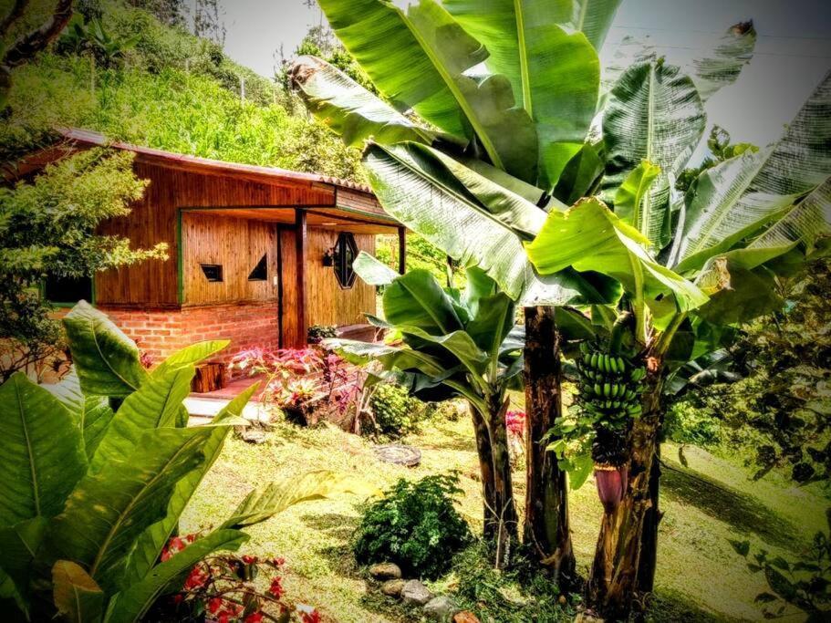 Holiday home Tesorito House En Montanas Del Quindio Filandia