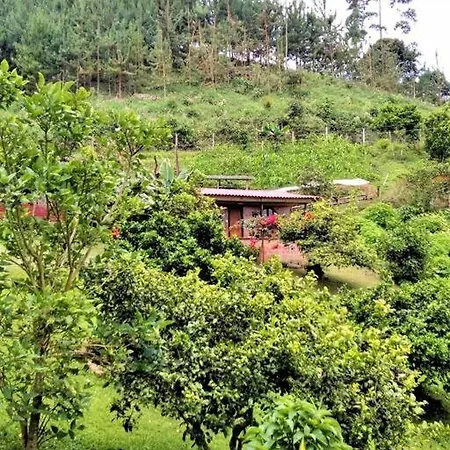 Tesorito House En Las Montanas Del Quindio Filandia Exterior photo