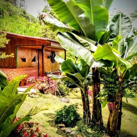 Tesorito House En Las Montanas Del Quindio Filandia Exterior photo