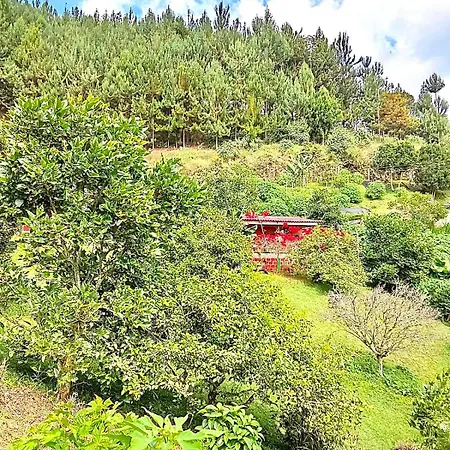 Tesorito House En Las Montanas Del Quindio Filandia Exterior photo