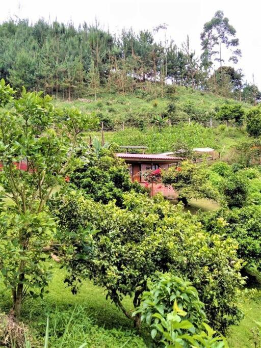 Tesorito House En Montanas Del Quindio Holiday home *