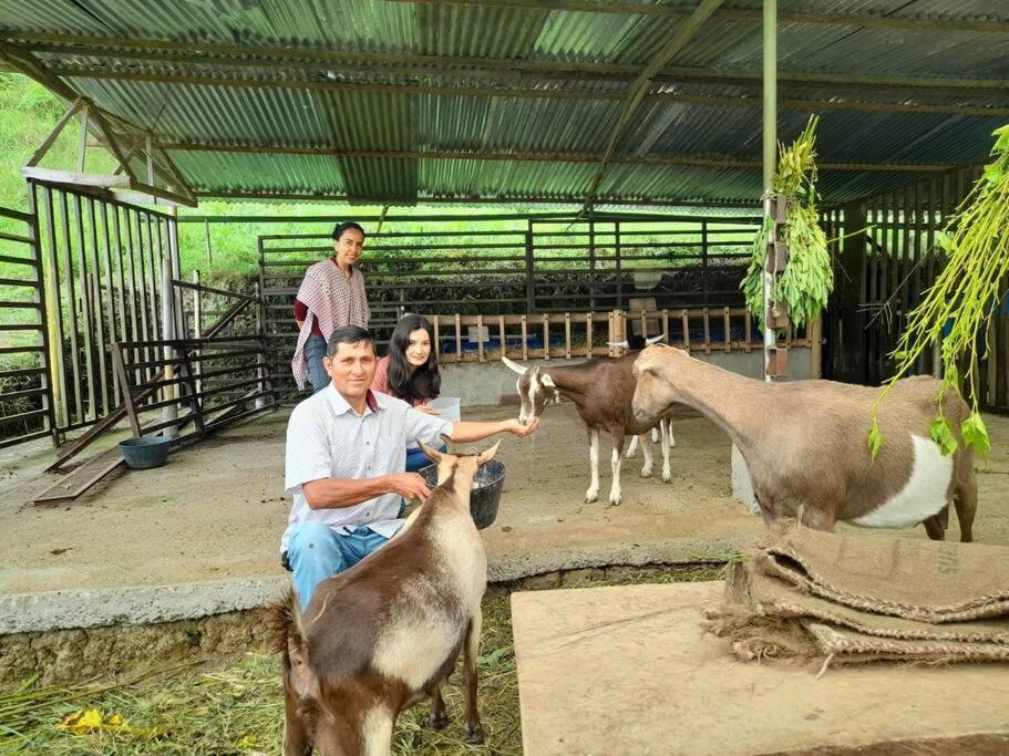 Tesorito House En Montanas Del Quindio *