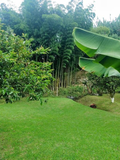 Tesorito House En Montanas Del Quindio * Filandia
