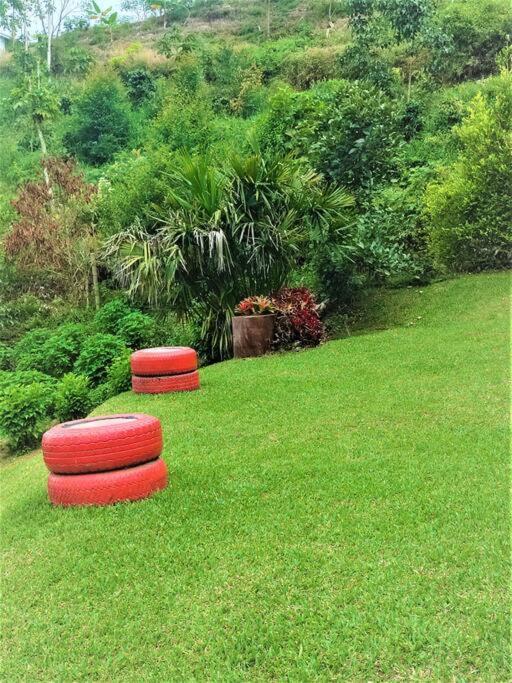 Tesorito House En Montanas Del Quindio Filandia