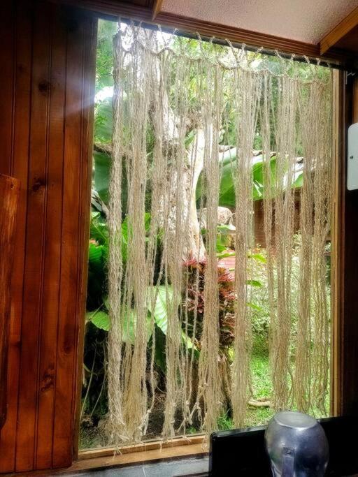 Tesorito House En Montanas Del Quindio Filandia