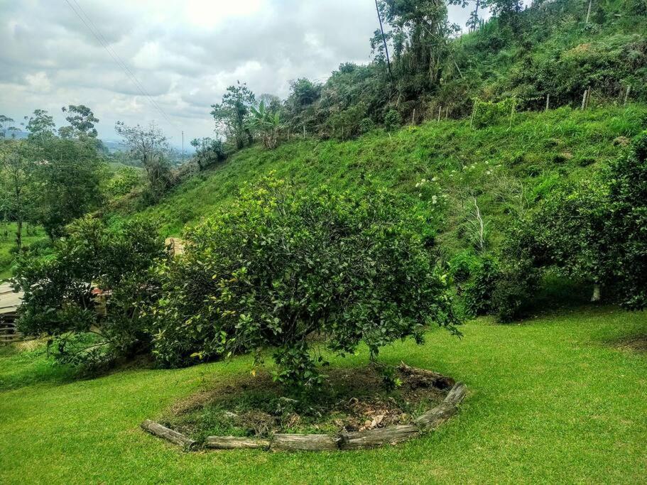 Tesorito House En Montanas Del Quindio Holiday home