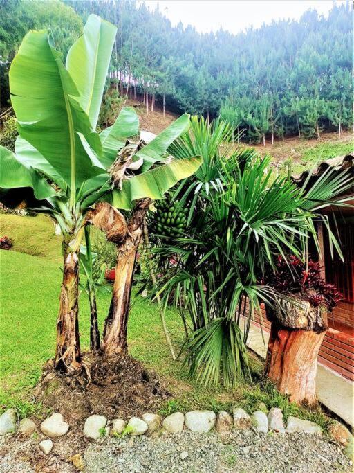 Tesorito House En Montanas Del Quindio