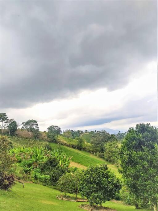 Tesorito House En Montanas Del Quindio Holiday home Filandia