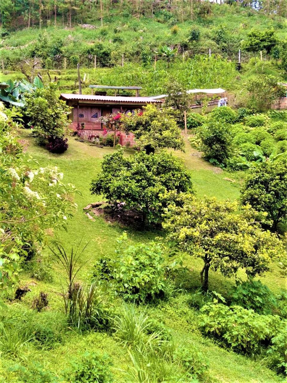 Tesorito House En Montanas Del Quindio Holiday home